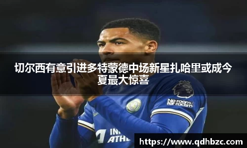 切尔西有意引进多特蒙德中场新星扎哈里或成今夏最大惊喜
