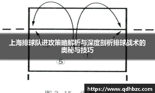 上海排球队进攻策略解析与深度剖析排球战术的奥秘与技巧