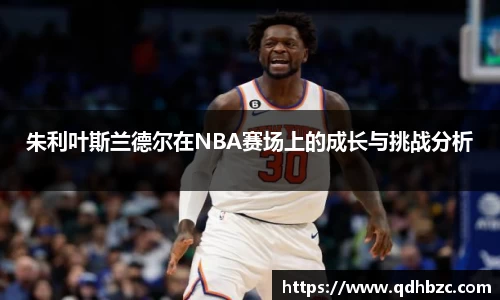 朱利叶斯兰德尔在NBA赛场上的成长与挑战分析